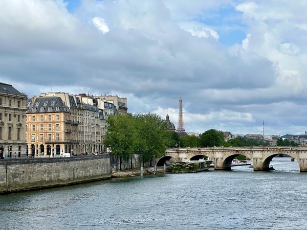 View of the Eiffel Tower from the Seine River, Paris, France