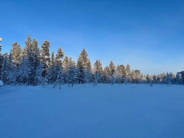 Muotkatunturi Wilderness Area, Inari, Finland